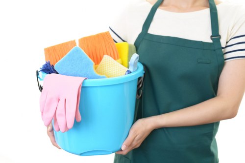 Professional window cleaning for Greenwich homes and businesses