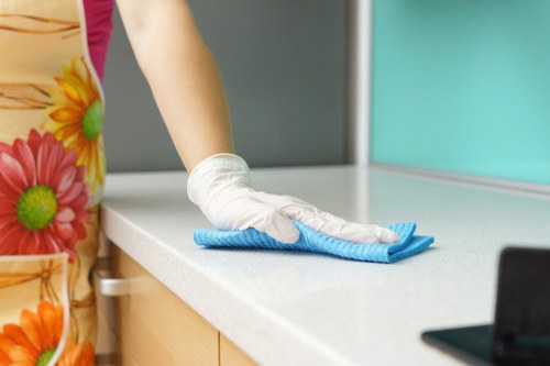 Carpet cleaning pricing discussion for a Greenwich home