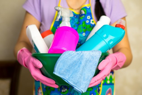 Carpet cleaning team supporting recycling and sustainability in Greenwich
