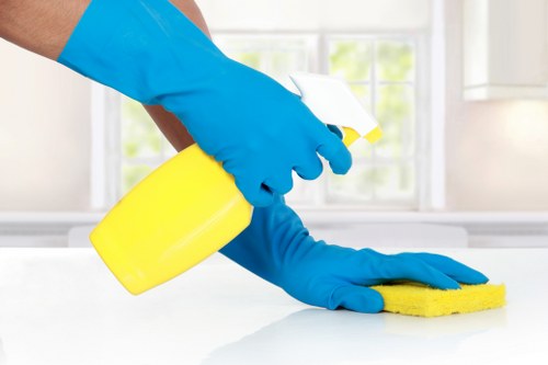 Carpet cleaning equipment prepared for a Greenwich residential or commercial visit