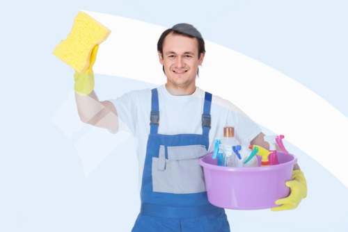 Professional upholstery cleaning for a sofa in Greenwich