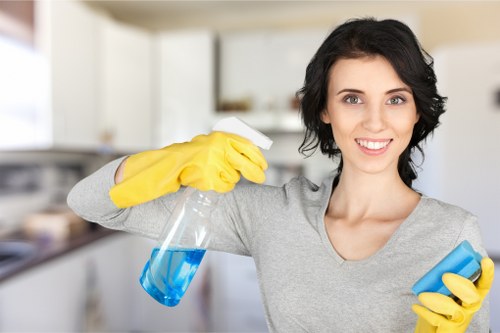 Deep cleaning a mattress in a Greenwich apartment