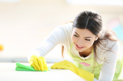Professional pet stain and odour removal treatment for carpets in Greenwich