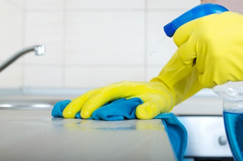 Local Greenwich house cleaning team preparing a tidy apartment for a fresh finish
