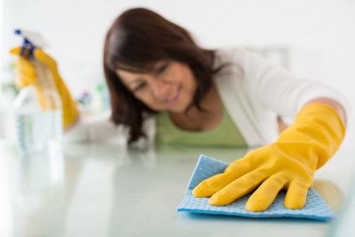 Professional gutter cleaning service for local buildings