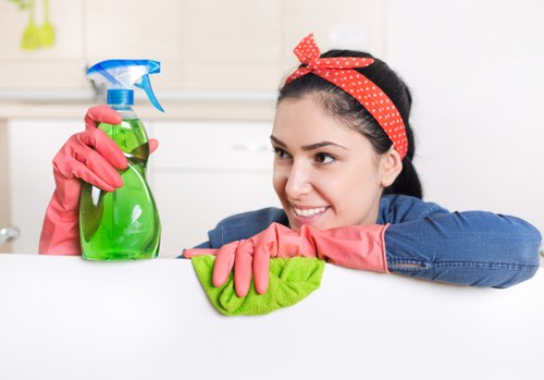 Detailed kitchen and bathroom cleaning service in Greenwich
