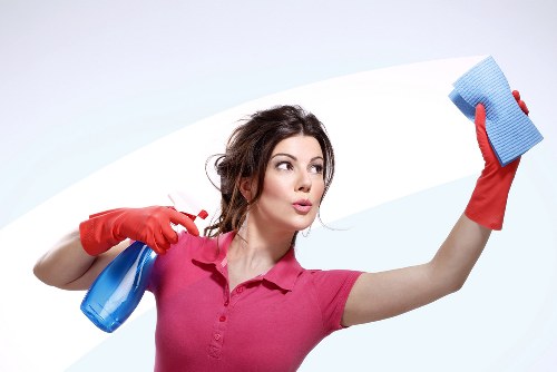 Deep carpet cleaning for stubborn pet odours in a Greenwich property