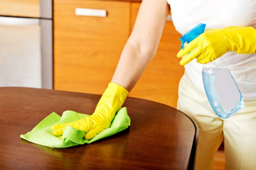 Deep cleaning upholstered furniture in a Greenwich home